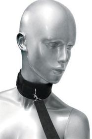 Frisky 46 Inch Leash and Collar Set